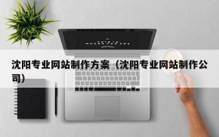 惠州沈阳专业网站制作方案（沈阳专业网站制作公司）